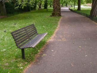 bench along walk way