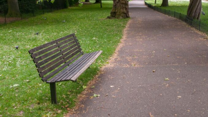 bench along walk way bench along walk way