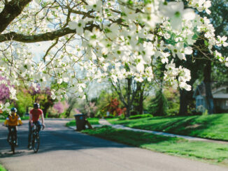 dogwood arts trail