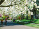 dogwood arts trail