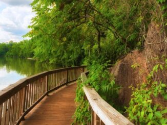 ijams nature center