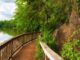 ijams nature center