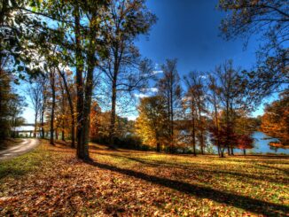 knoxville park