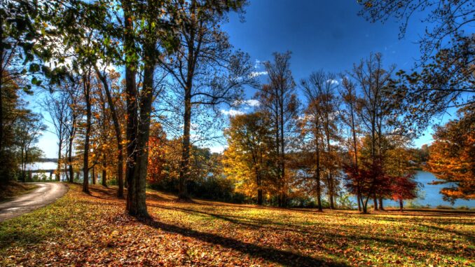 knoxville park knoxville park